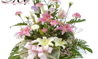 Hoa tặng mẹ (Bài đọc hiểu tiếng Việt lớp 5 - đề số 16)